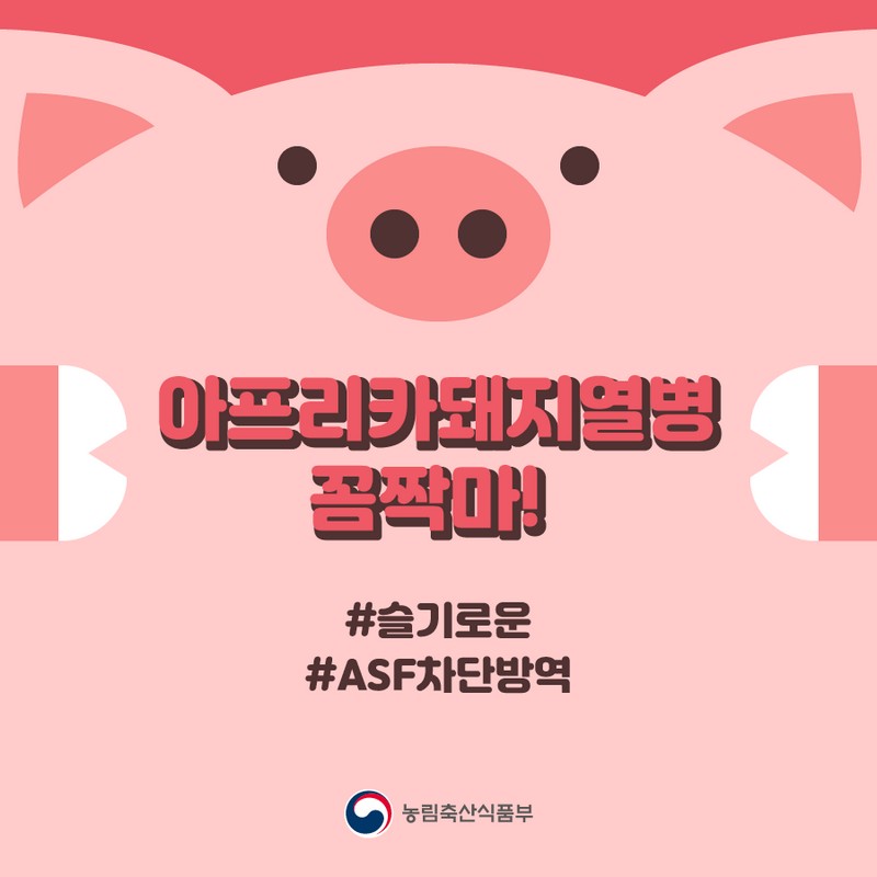 슬기로운 ASF 차단 방역 사진 1번