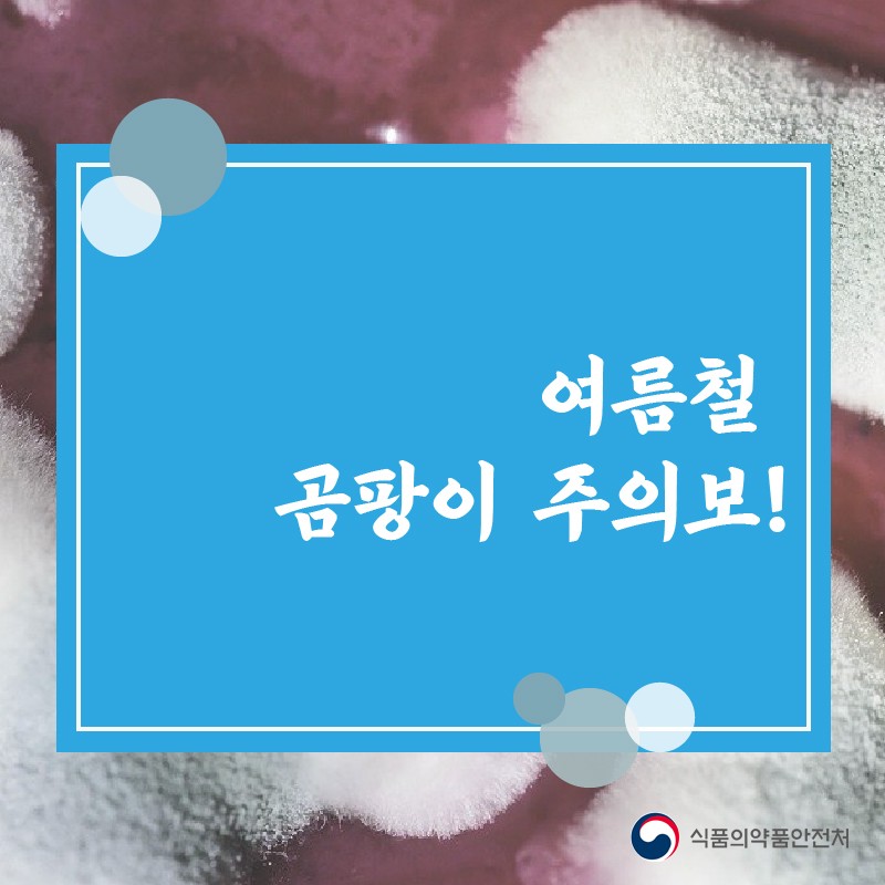 여름철 곰팡이 주의보! 사진 1번