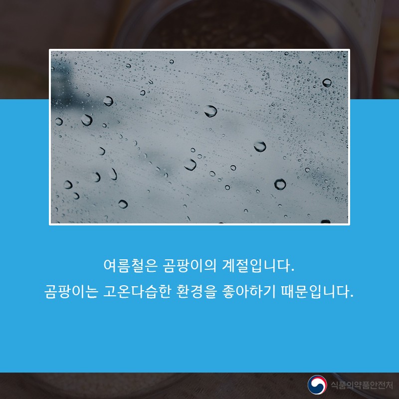 여름철 곰팡이 주의보! 사진 2번