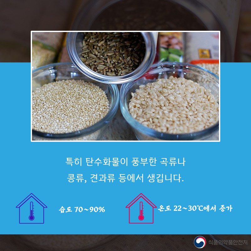 여름철 곰팡이 주의보! 사진 3번