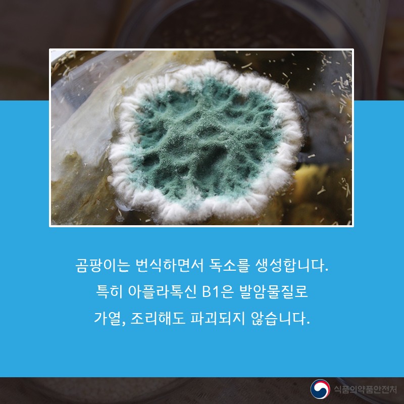 여름철 곰팡이 주의보! 사진 4번