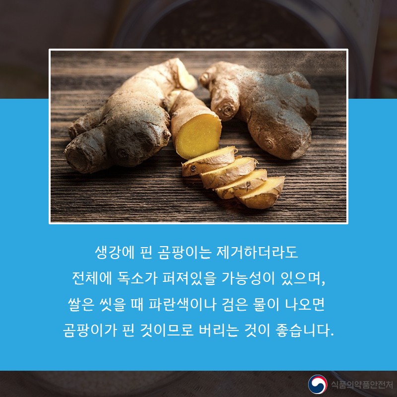 여름철 곰팡이 주의보! 사진 6번