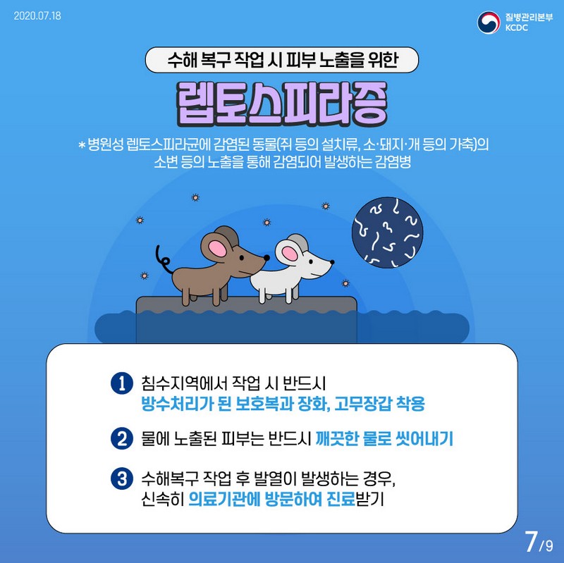 [풍수해로 인한 감염병 예방 수칙] 장마가 감염병을 일으킨다고? 사진 7번