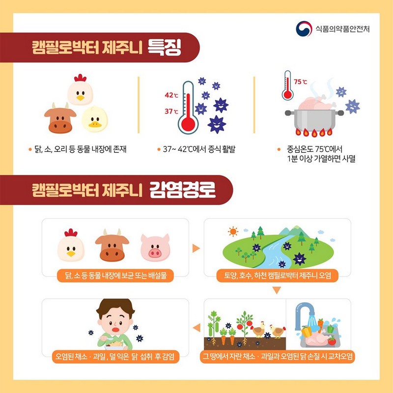 복날 닭 요리할 때 특히 주의해야 할 식중독균은? 사진 2번