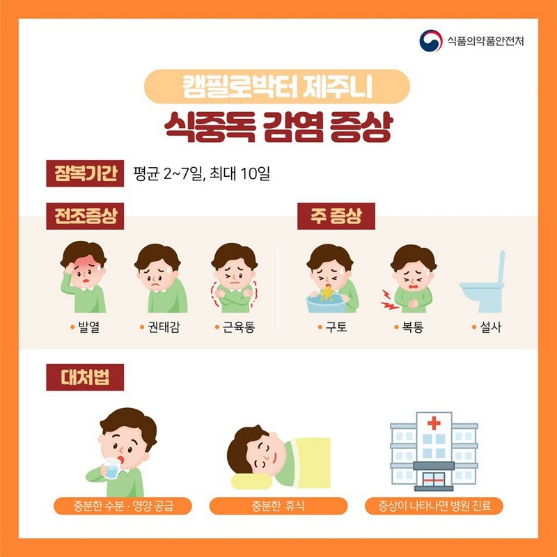 복날 닭 요리할 때 특히 주의해야 할 식중독균은? 사진 3번