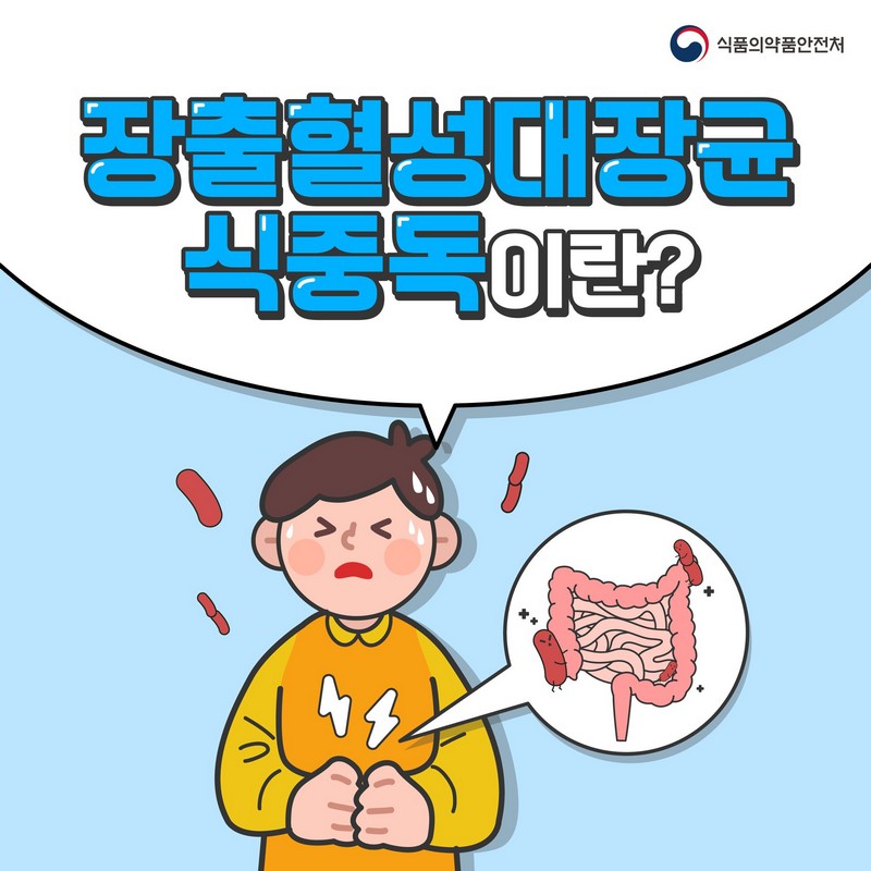 장출혈성대장균 식중독이란? 사진 1번