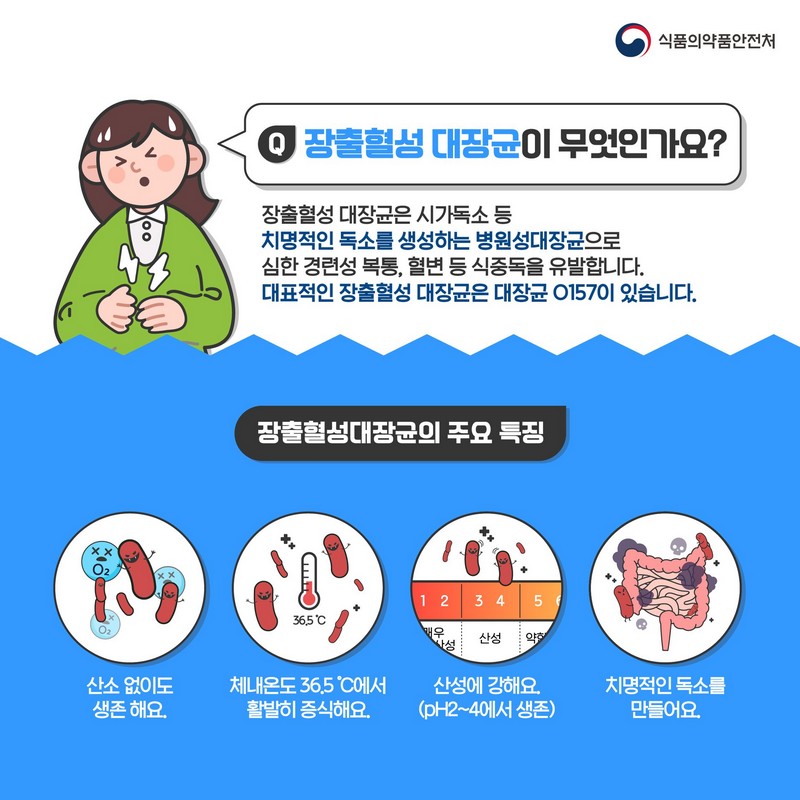 장출혈성대장균 식중독이란? 사진 2번