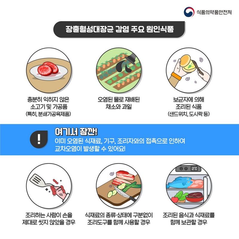 장출혈성대장균 식중독이란? 사진 3번