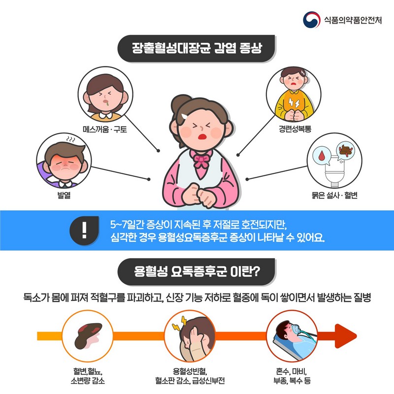 장출혈성대장균 식중독이란? 사진 4번