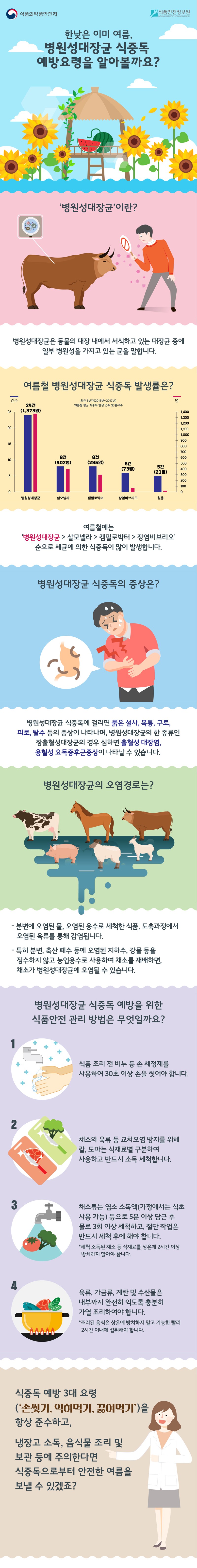 여름철 병원성대장균 식중독 예방요령 사진 1번