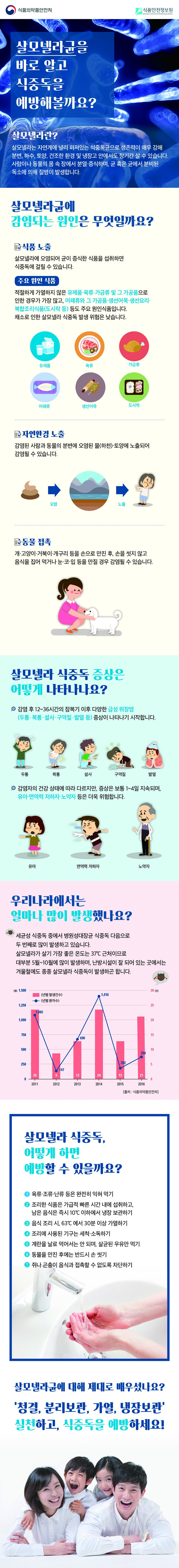 살모넬라 식중독 예방법 알아보기 사진 1번