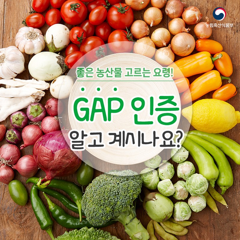 GAP 인증 알고계시나요? 사진 1번