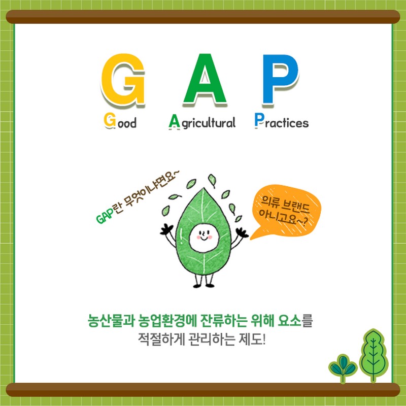 GAP 인증 알고계시나요? 사진 2번