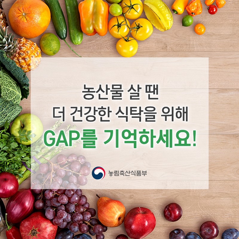 GAP 인증 알고계시나요? 사진 8번