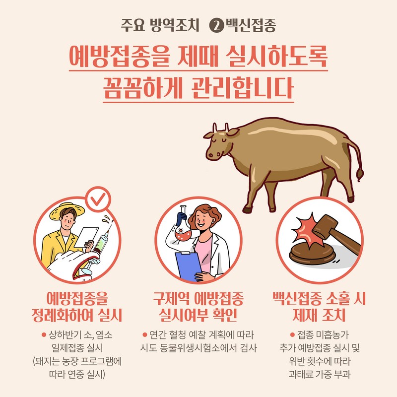 구제역 방역관리, 이렇게 하고 있습니다 사진 3번