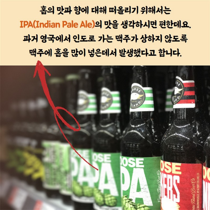 맥주, 알고먹자 사진 10번