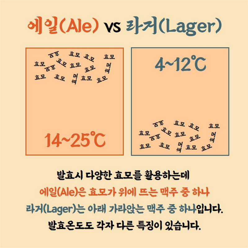 맥주, 알고먹자 사진 11번