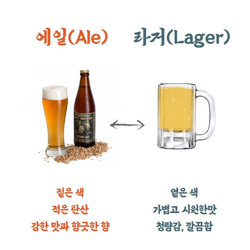 맥주, 알고먹자 사진 12번