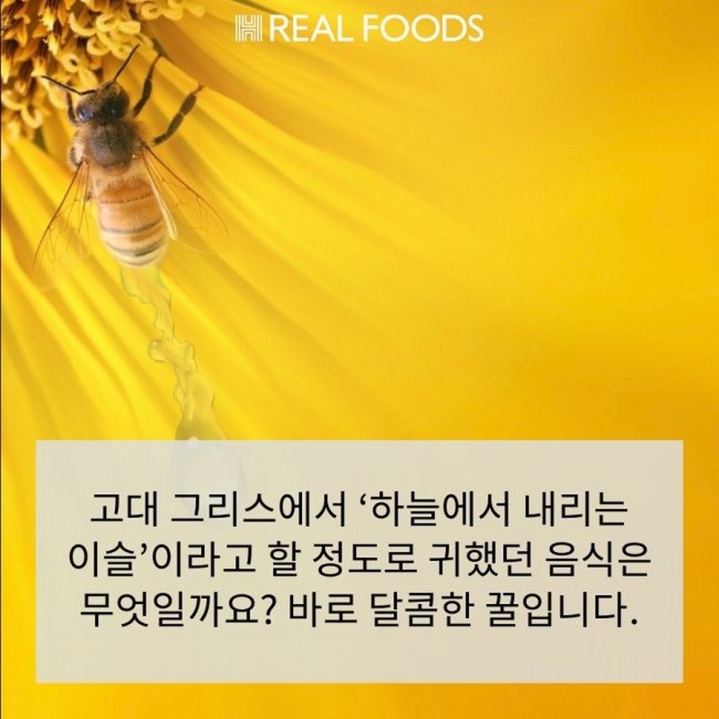 우리가 몰랐던 ‘꿀 사용법’ 사진 2번