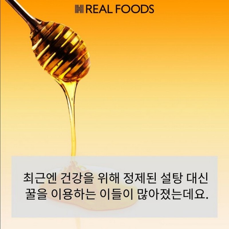우리가 몰랐던 ‘꿀 사용법’ 사진 3번