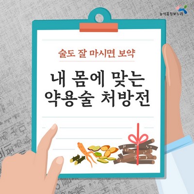 내 몸에 맞는 약용술 처방전