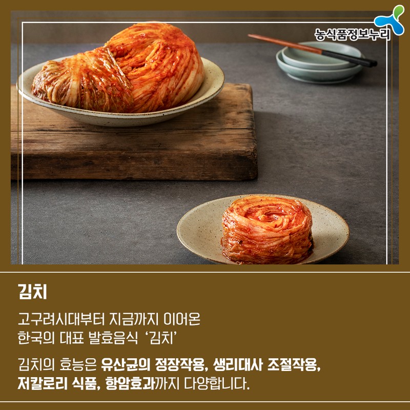 아는 만큼 맛있다! 한식과 발효 사진 4번