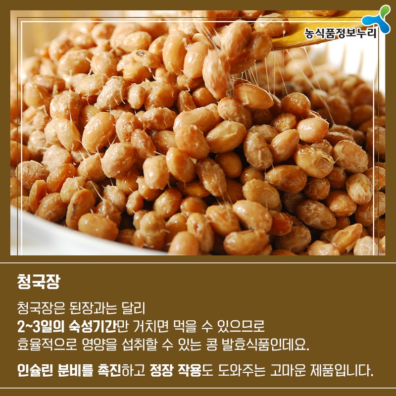 아는 만큼 맛있다! 한식과 발효 사진 5번