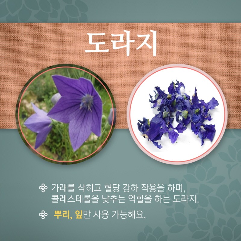 마실 수 있는 꽃차에 대해 알아보자 사진 3번