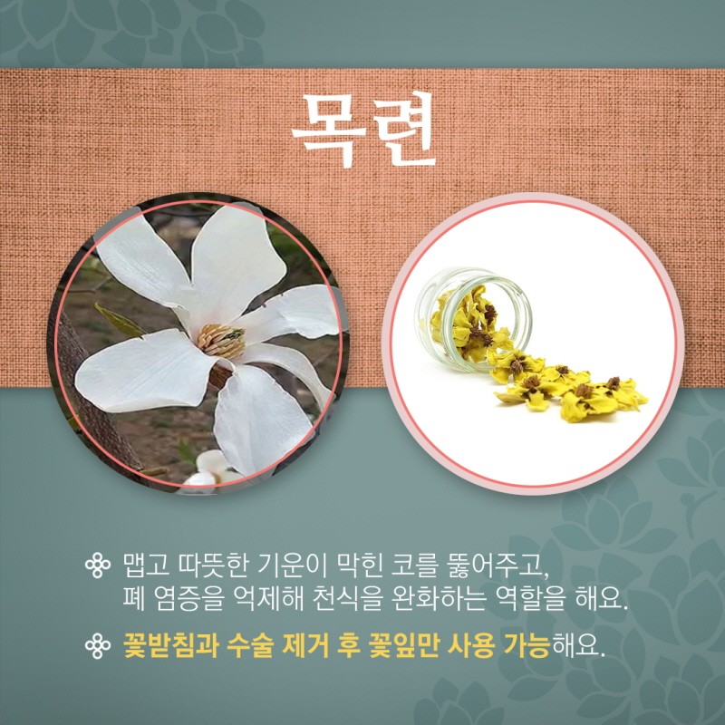 마실 수 있는 꽃차에 대해 알아보자 사진 5번