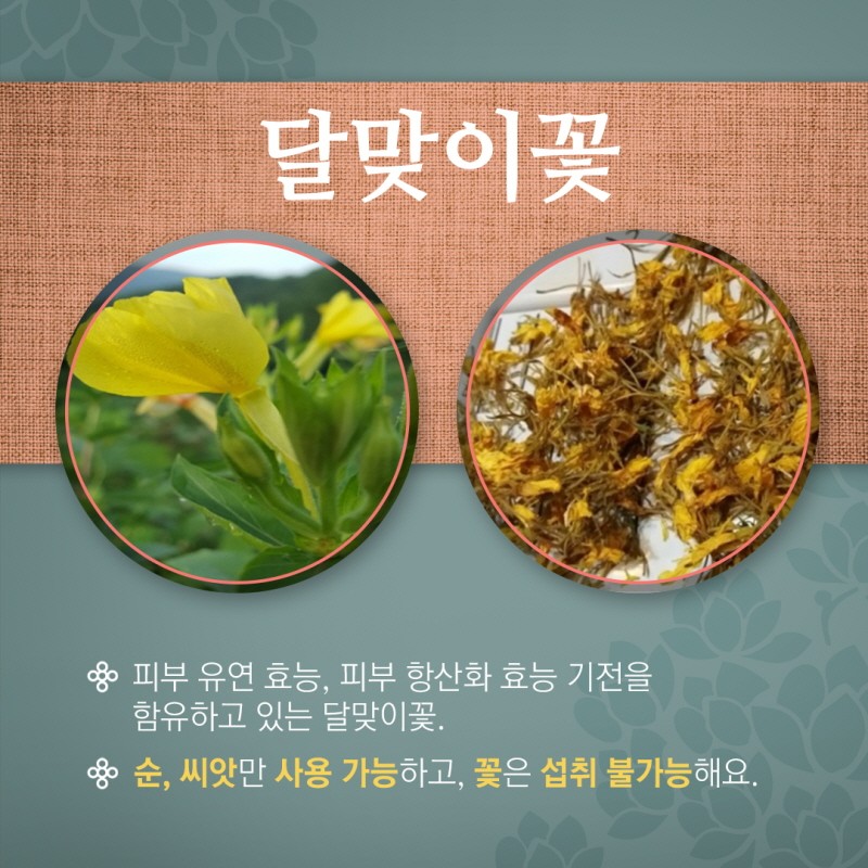 마실 수 있는 꽃차에 대해 알아보자 사진 6번