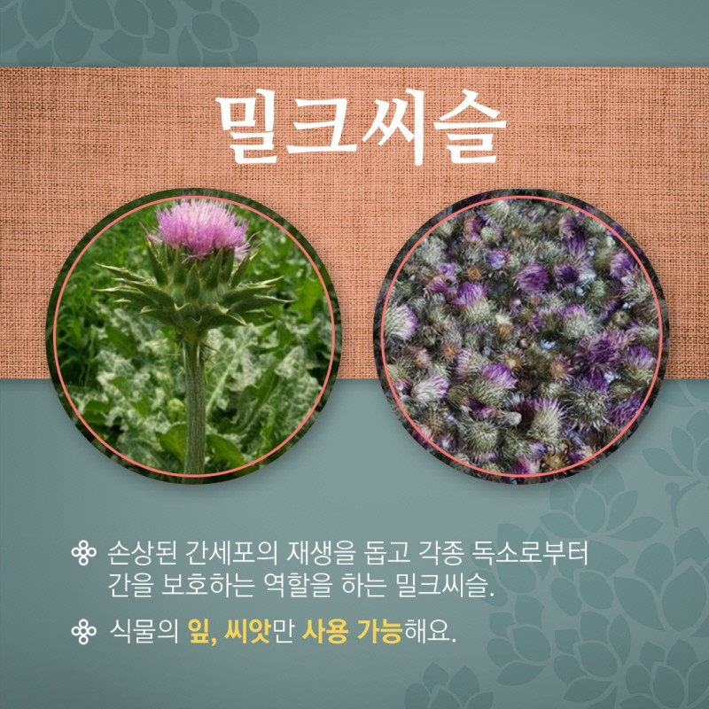 마실 수 있는 꽃차에 대해 알아보자 사진 7번