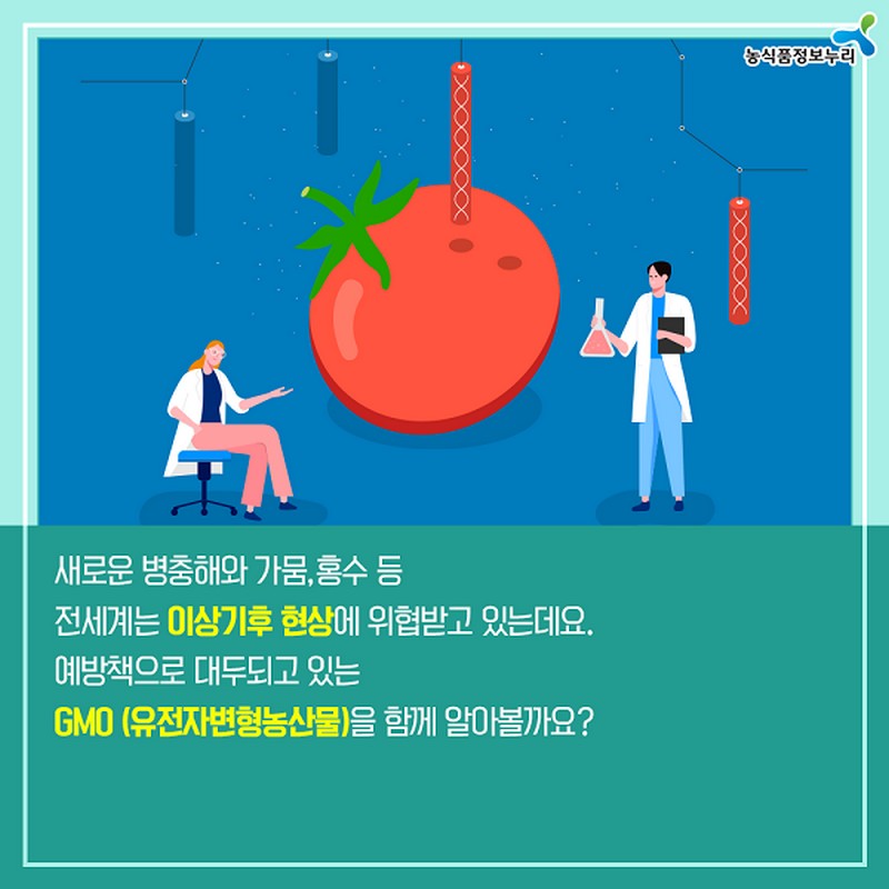 누리씨의 트렌드 읽기 <미래 식탁 GMO, 당신의 선택은?> 사진 2번