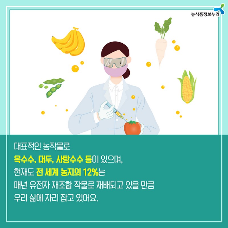 누리씨의 트렌드 읽기 <미래 식탁 GMO, 당신의 선택은?> 사진 4번