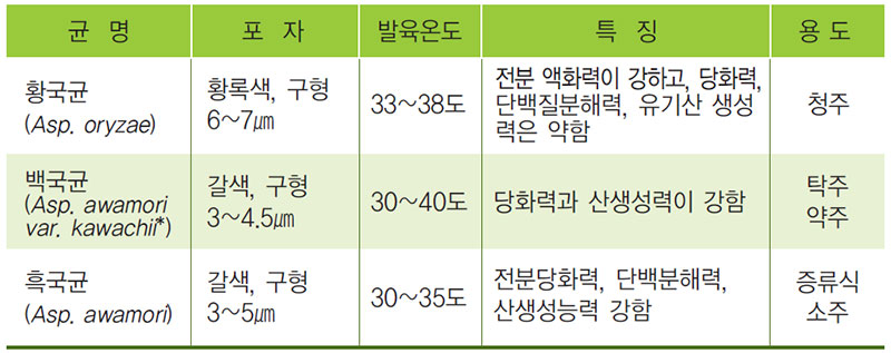 주류제조용 곰팡이 종류와 특징