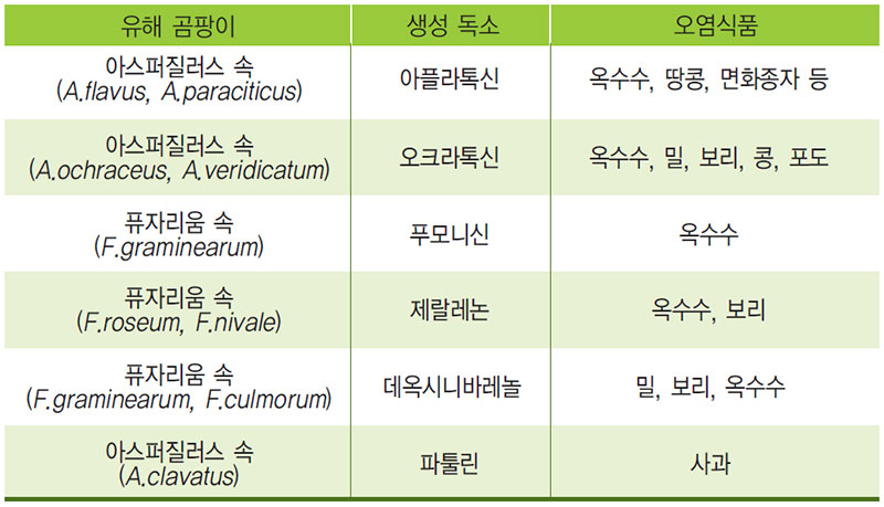 유해한 곰팡이 종류 및 곰팡이 독소