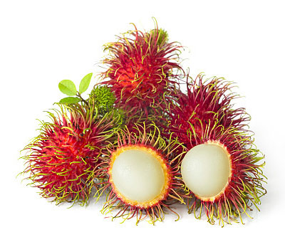 람부탄 Rambutan