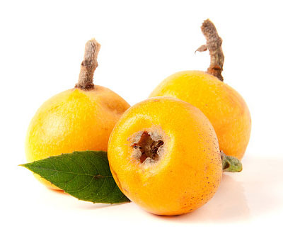 비파 Loquat