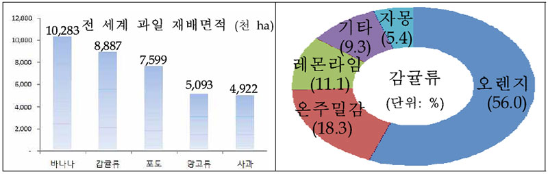 세계의 감귤 재배면적