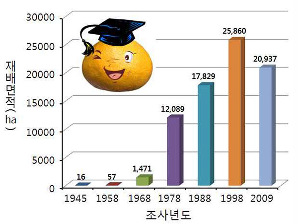 감귤 재배면적