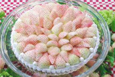 하얀 딸기