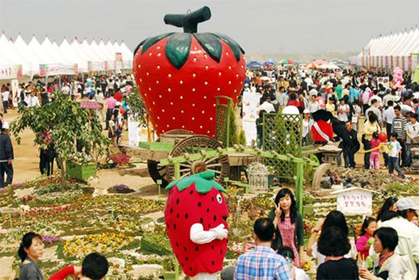 논산 딸기 축제