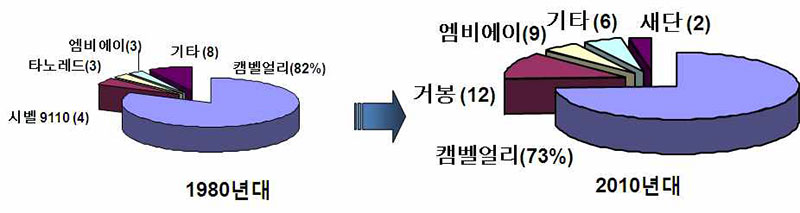 포도 품종 No1.