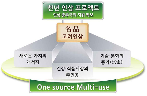 천년(千年)인삼 프로젝트