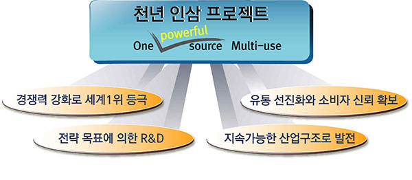 천년 인삼 프로젝트