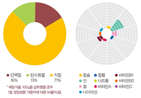 호두 국가표준식품성분표