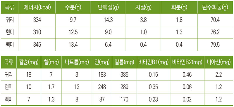 곡류의 영양성분 함량 비교