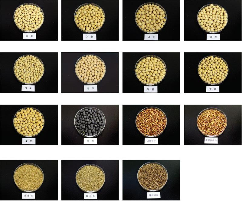 신육성 잡곡 품종별 비교