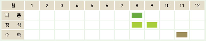 배추 재배일정표
