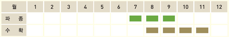쪽파 재배일정표