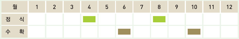 브로콜리(새싹) 재배일정표